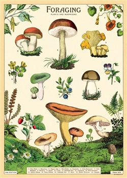 Forage Poster